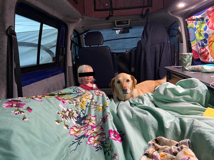 Interior of a campervan with colorful bedding and a golden retriever standing beside a young child with privacy-barred eyes, cozy inside the vehicle with camping gear visible around.