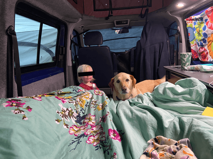 Interior of a campervan with colorful bedding and a golden retriever standing beside a young child with privacy-barred eyes, cozy inside the vehicle with camping gear visible around.