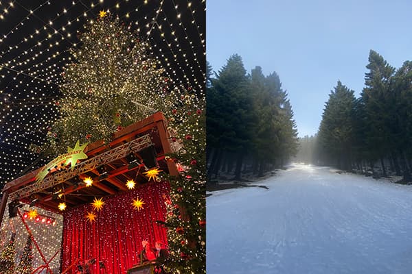 Split image showcasing the magical ambiance of a Christmas market in Cologne, Germany, with a large Christmas tree adorned with twinkling lights (left), and a serene, snow-covered path surrounded by tall evergreen trees in the Black Forest, Germany (right). Both scenes highlight the contrast between festive urban celebrations and tranquil natural landscapes experienced during a van life journey.