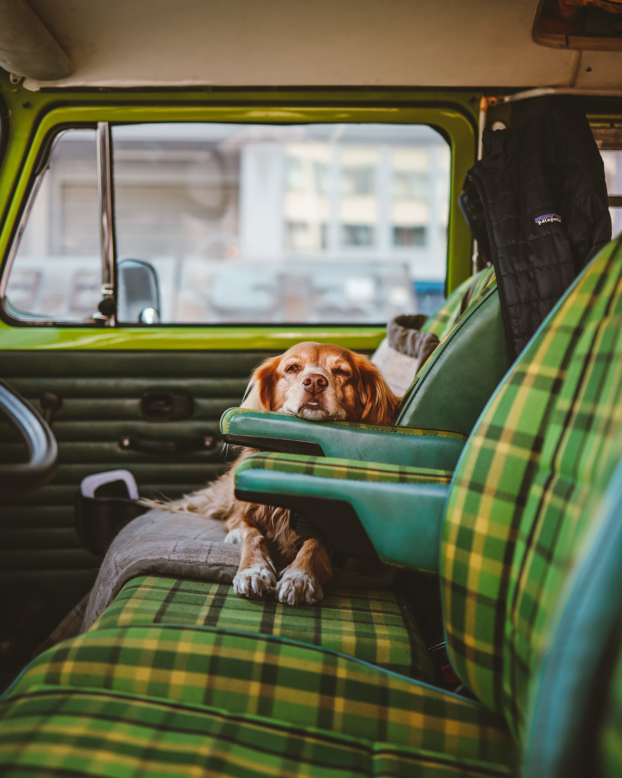 Nuca, @meetheinrich's dog, comfortably resting inside a vintage VW T2 bus with green plaid seats, adding charm to the cozy interior. The image captures the relaxed vanlife atmosphere shared by the owners and their pet during their travels.