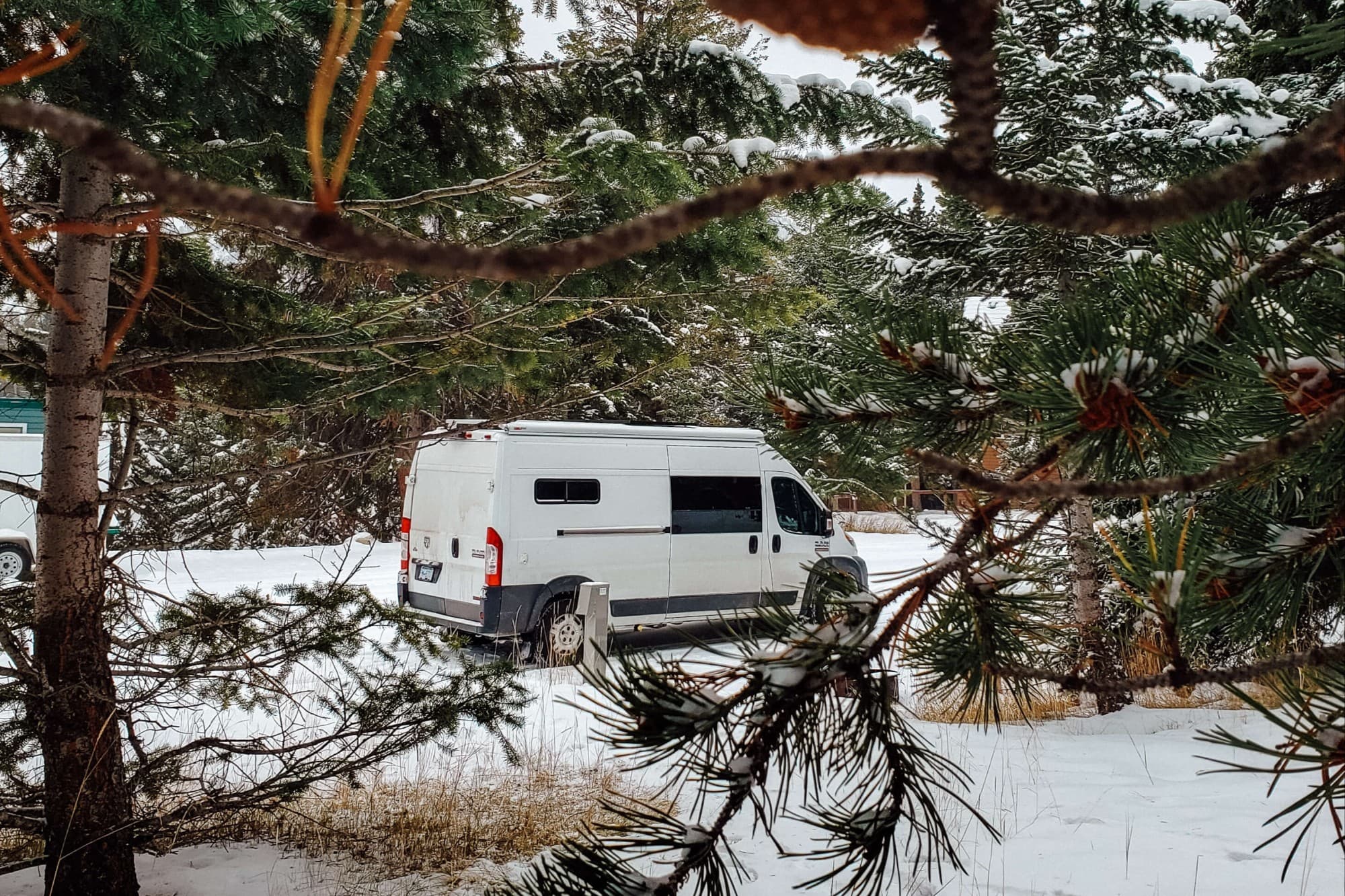 White RAM van parked in a snowy forest setting in Canada, surrounded by pine trees. The image captures the essence of vanlife during winter, highlighting the challenges and beauty of living in a van amidst nature.