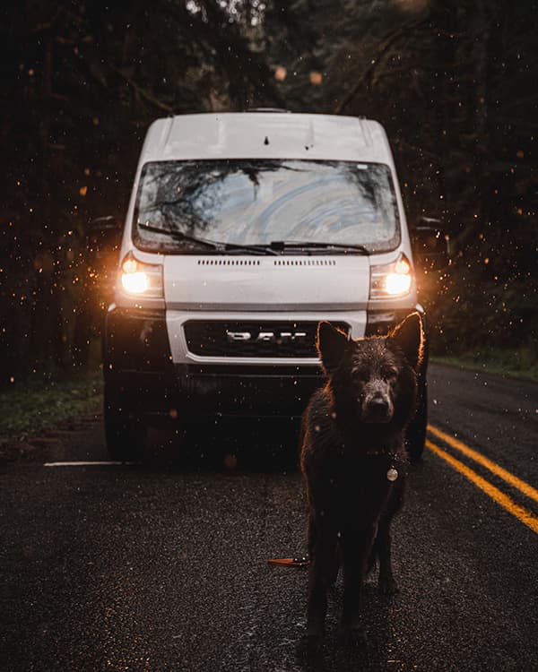 She was the bright light and hope that came in a storm of uncertainty - @harborhowls 09/2022 Harbor (@harborhowls), a black dog with pointed ears and a fluffy coat, stands confidently on a wet, dark road in front of a white Ram ProMaster campervan with its headlights illuminated. The scene is set in a dense forest with faint golden light particles floating in the air, creating a moody and adventurous atmosphere.